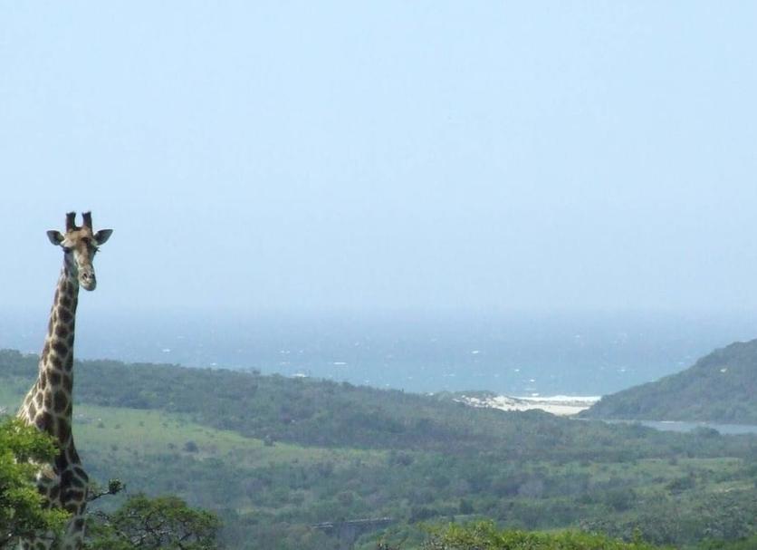 Cảnh ngoài trời Ảnh