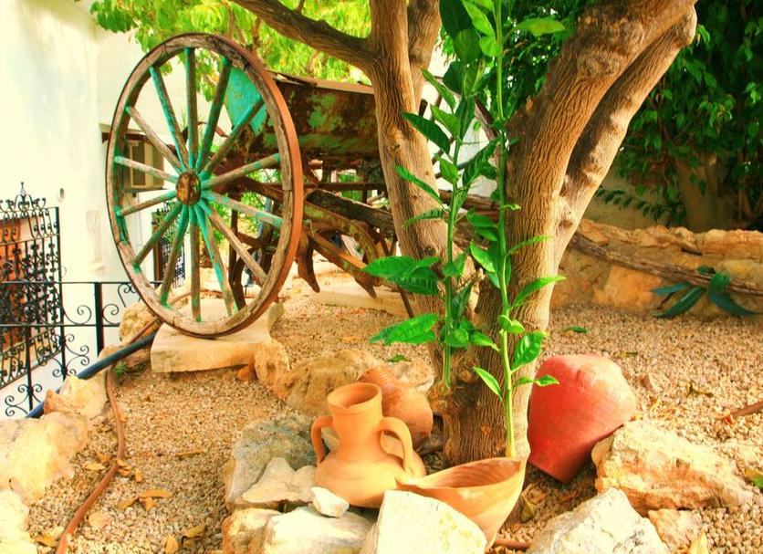 Cảnh ngoài trời Ảnh