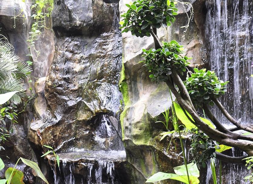 Cảnh ngoài trời Ảnh
