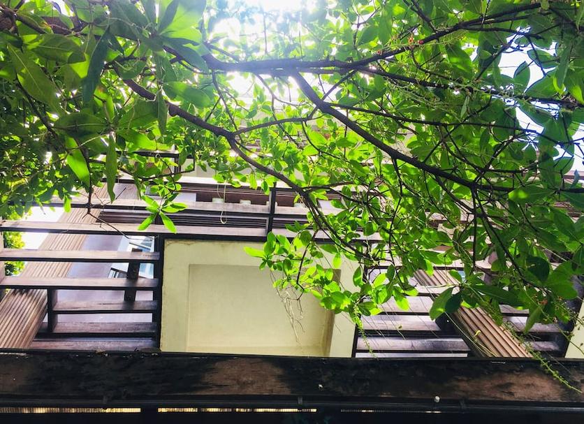 Cảnh ngoài trời Ảnh