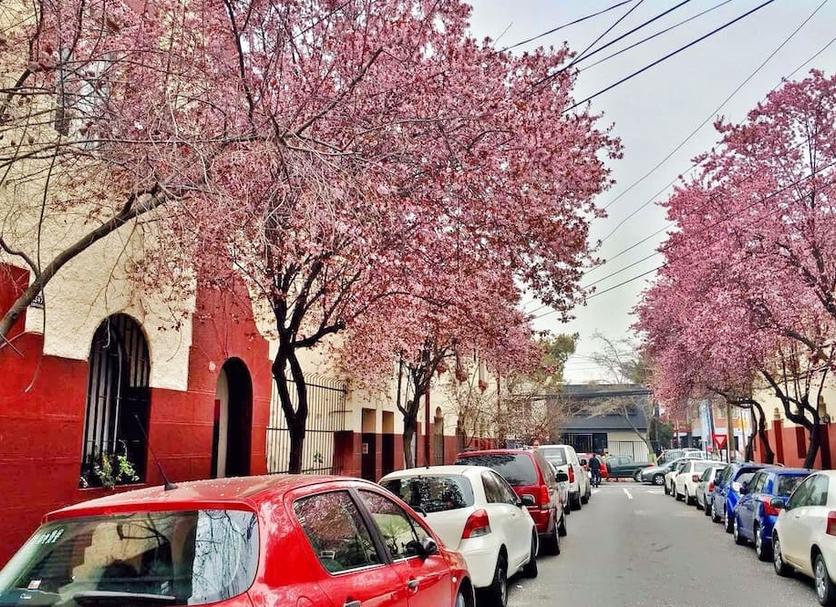 Cảnh ngoài trời Ảnh