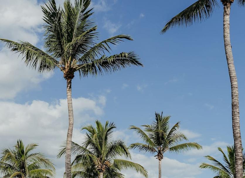 Cảnh ngoài trời Ảnh