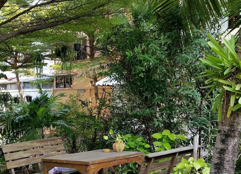 Cảnh ngoài trời Ảnh