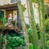 Cảnh ngoài trời