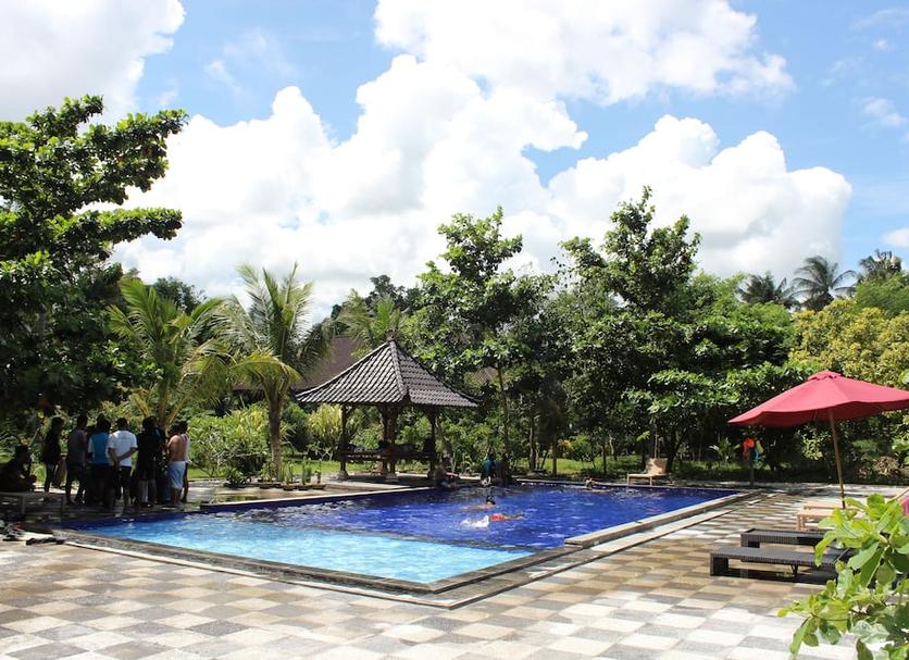 Khác Ảnh