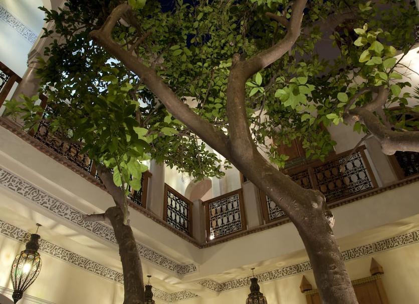 Cảnh ngoài trời Ảnh