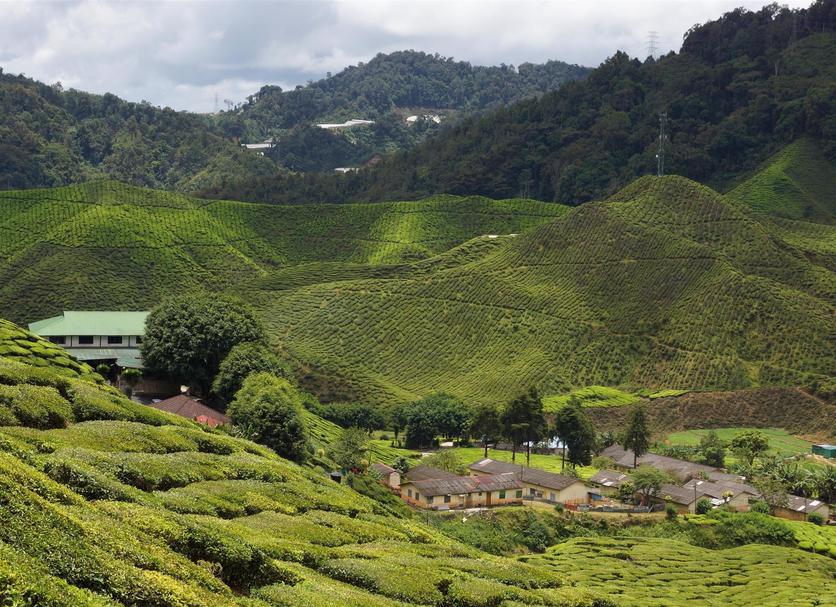 Cảnh ngoài trời Ảnh
