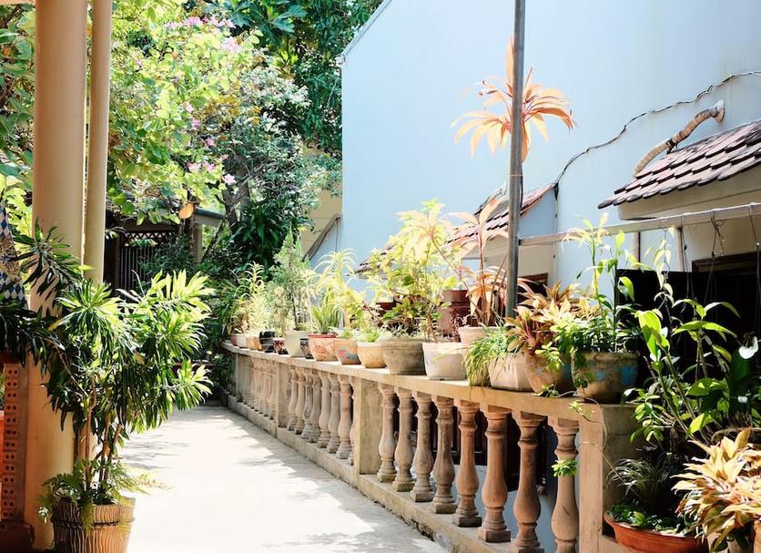 Cảnh ngoài trời Ảnh