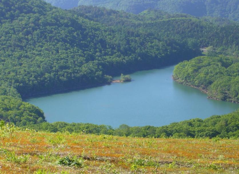 Cảnh ngoài trời Ảnh