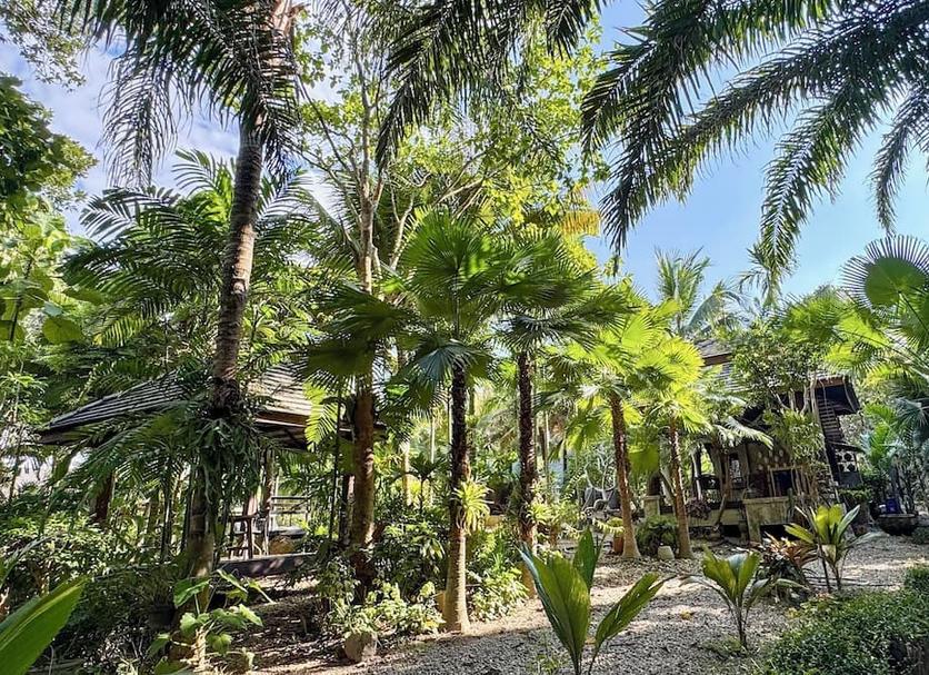 Cảnh ngoài trời Ảnh