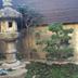 Cảnh ngoài trời