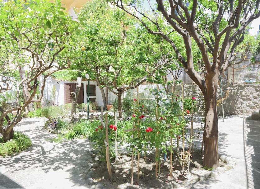 Cảnh ngoài trời Ảnh