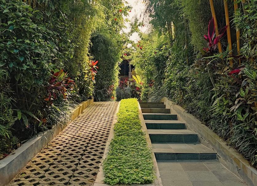 Cảnh ngoài trời Ảnh