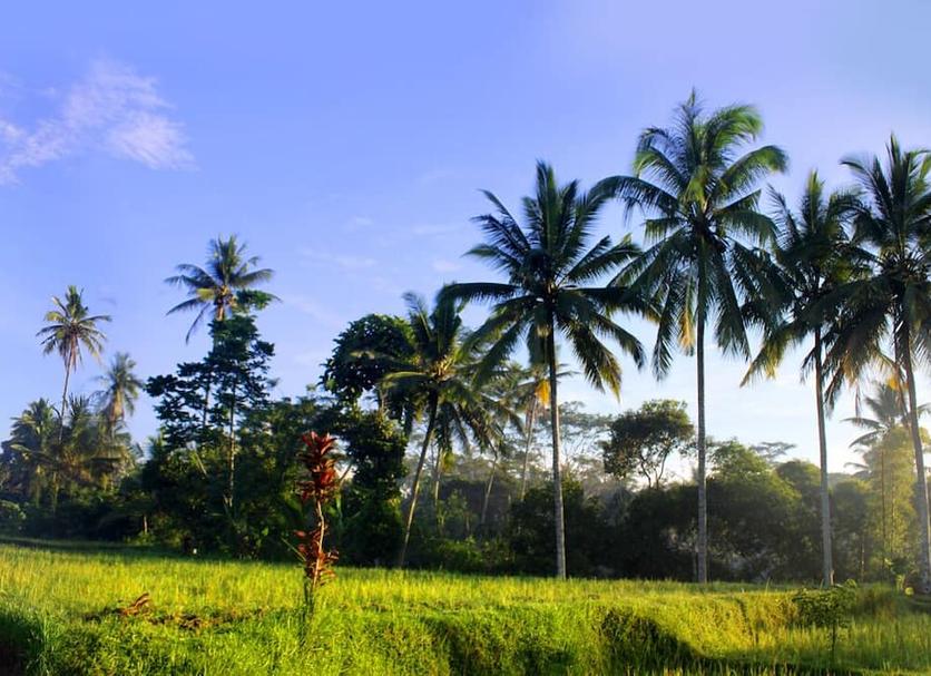 Cảnh ngoài trời Ảnh