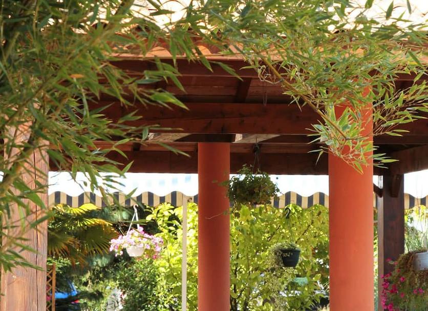 Cảnh ngoài trời Ảnh