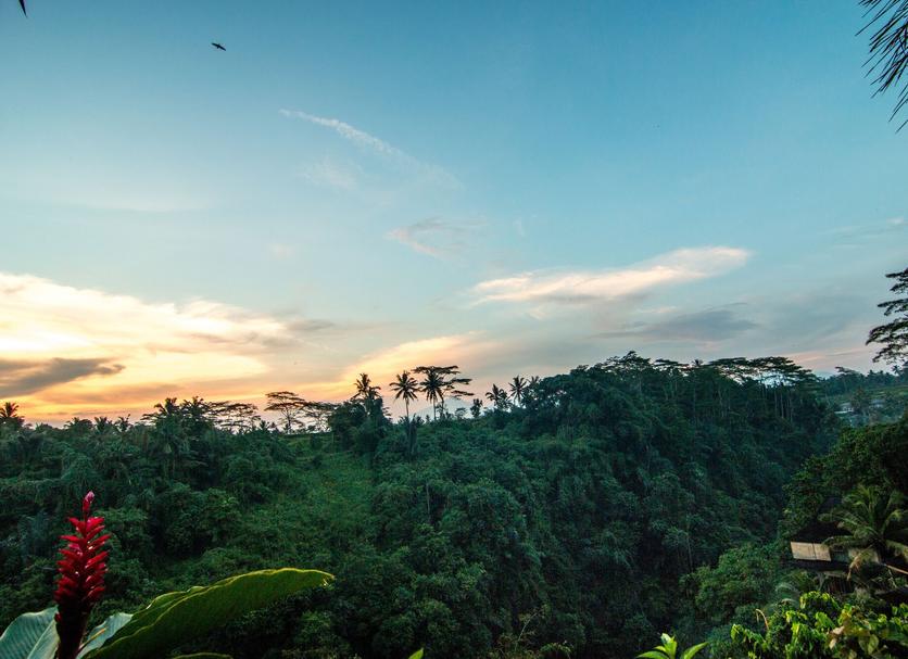 Cảnh ngoài trời Ảnh