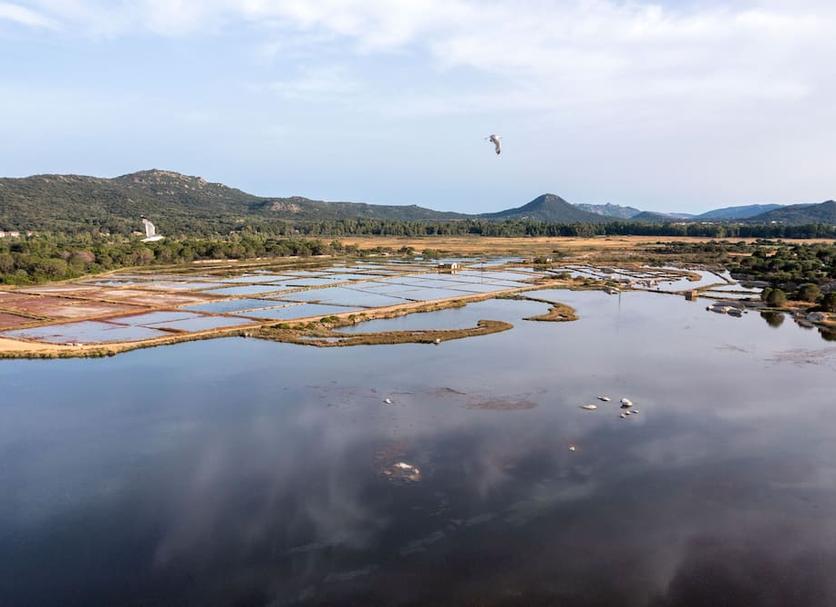Cảnh ngoài trời Ảnh