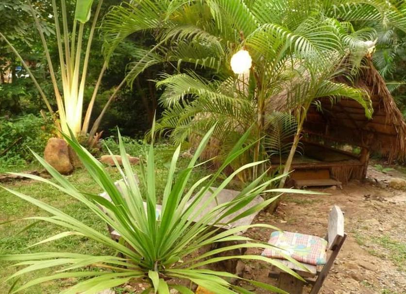 Khác Ảnh