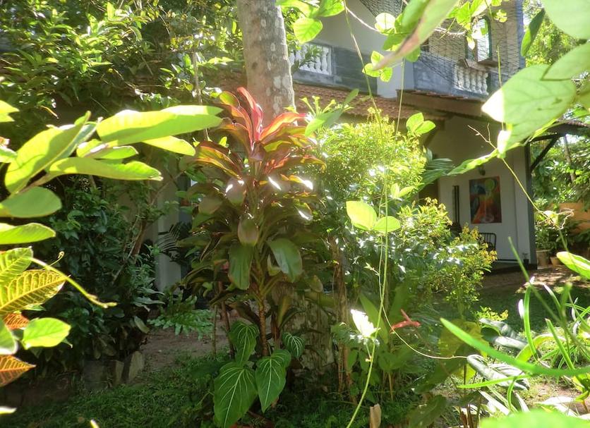 Cảnh ngoài trời Ảnh