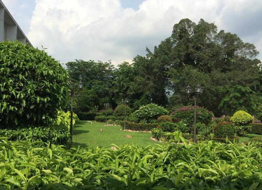 Cảnh ngoài trời Ảnh