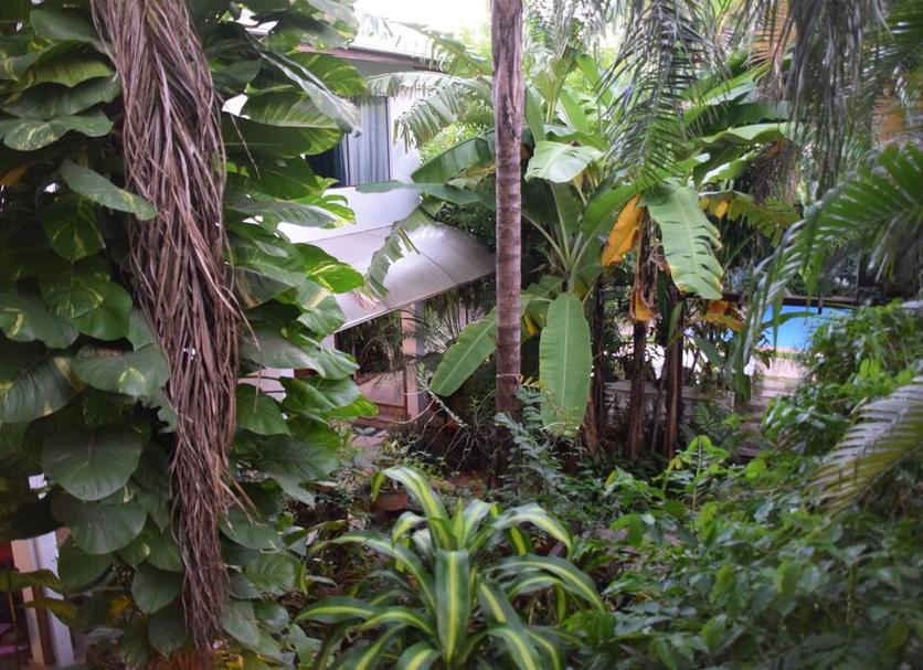 Cảnh ngoài trời Ảnh