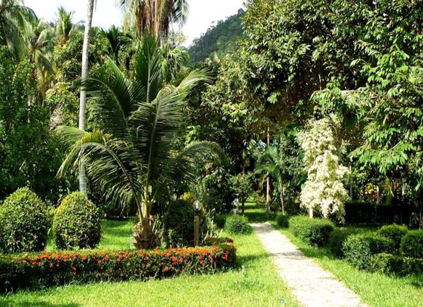 Cảnh ngoài trời Ảnh