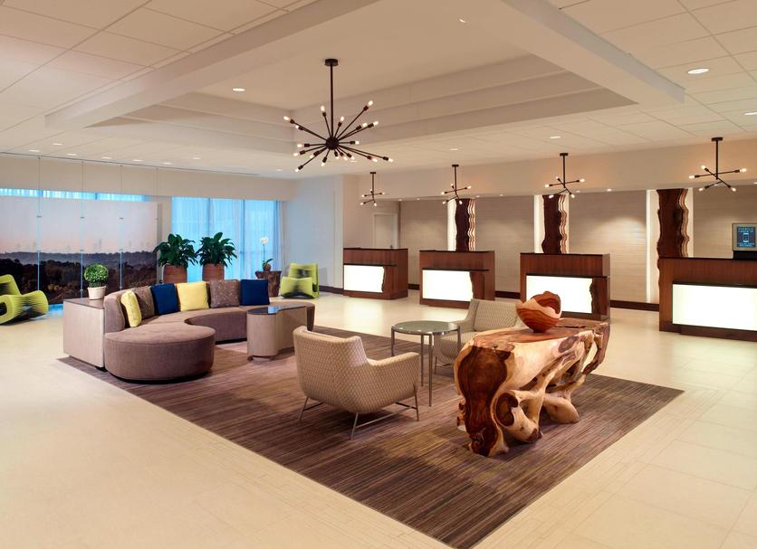 Lounge Ảnh