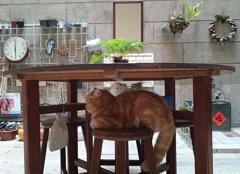 Khác Ảnh