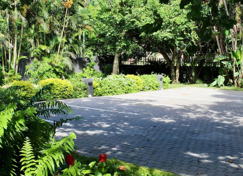 Cảnh ngoài trời Ảnh