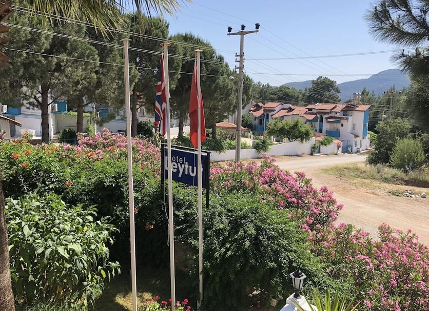 Cảnh ngoài trời Ảnh