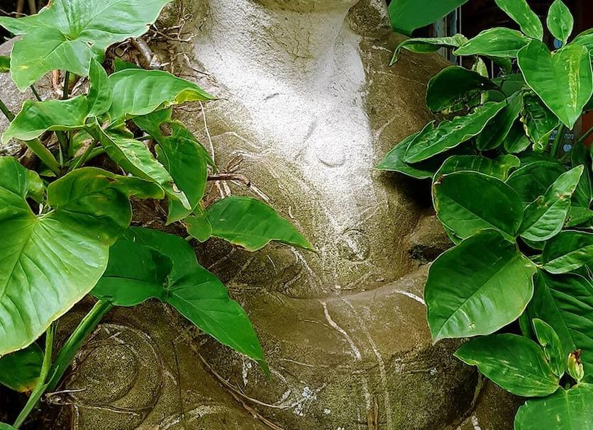Khác Ảnh