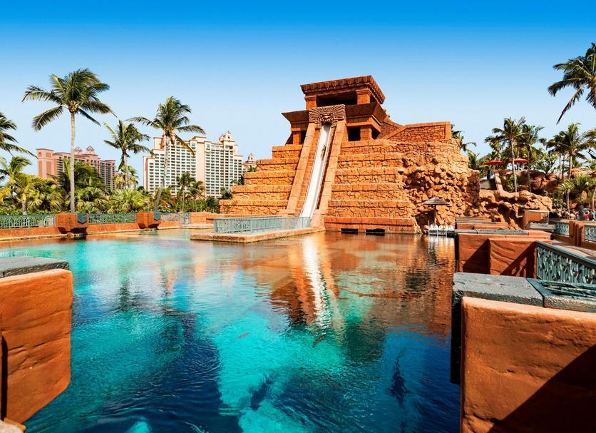 Hotel amenity Ảnh
