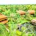 Cảnh ngoài trời