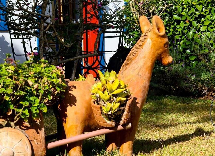 Cảnh ngoài trời Ảnh