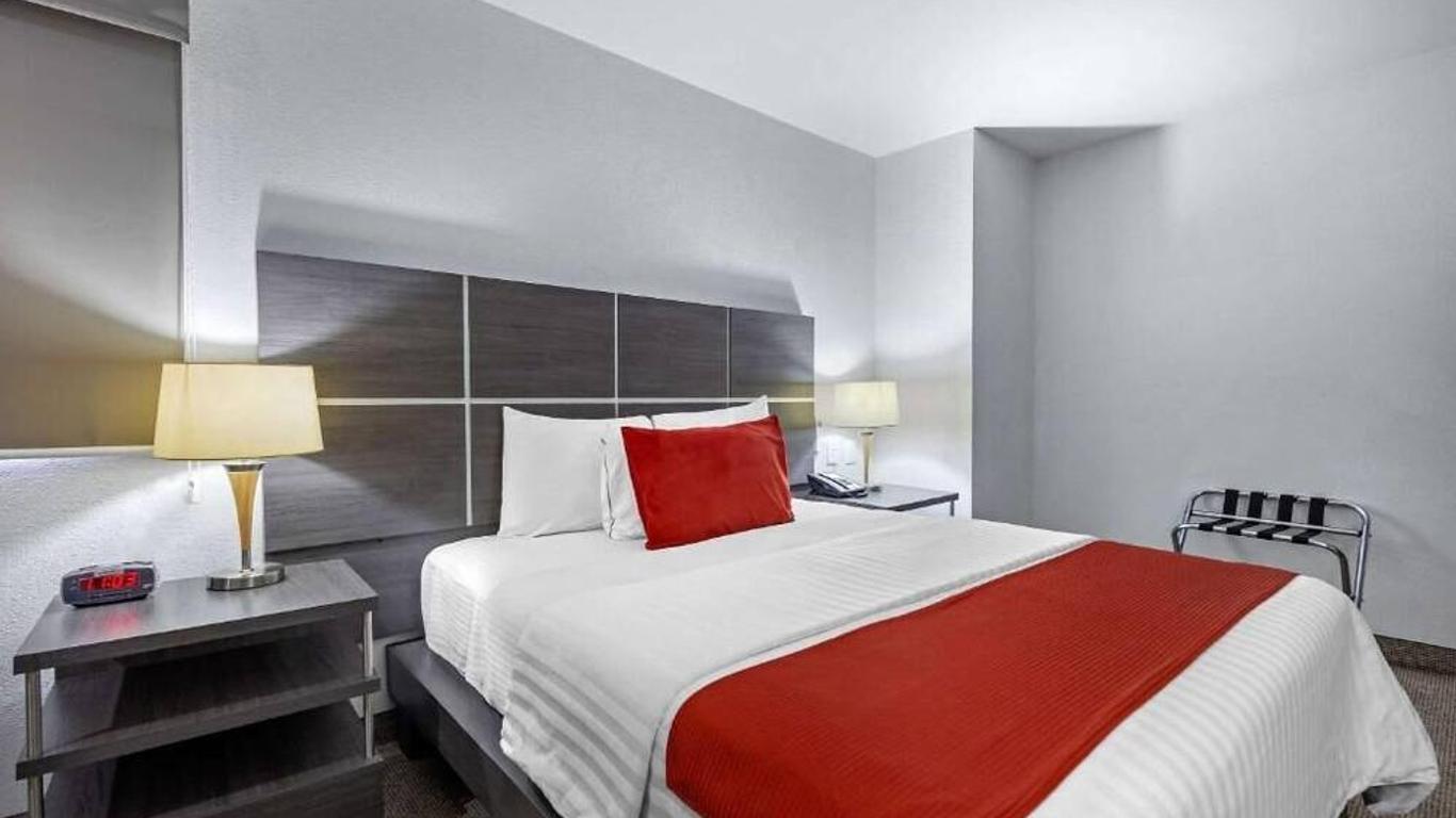 Bewow Hotel Querétaro