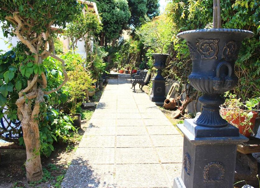 Cảnh ngoài trời Ảnh