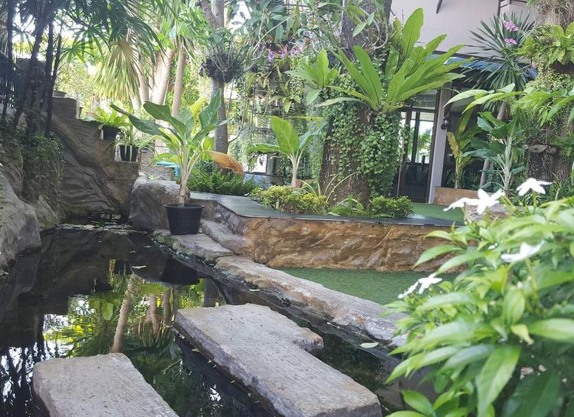 Cảnh ngoài trời Ảnh