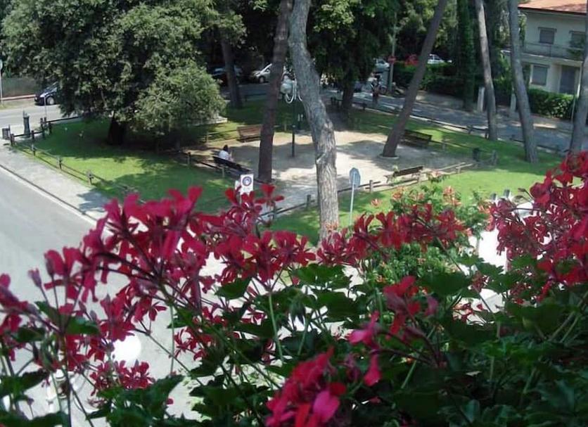 Cảnh ngoài trời Ảnh