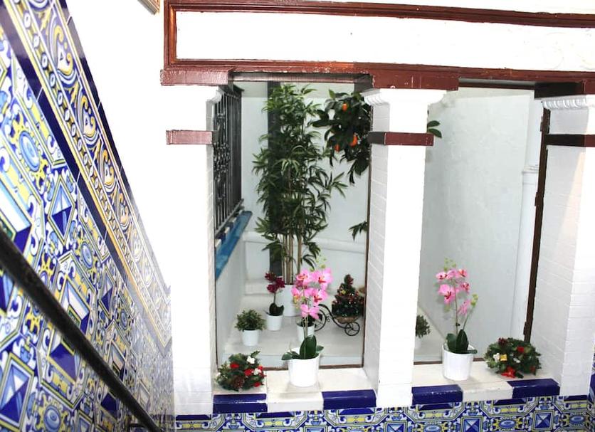 Cảnh ngoài trời Ảnh