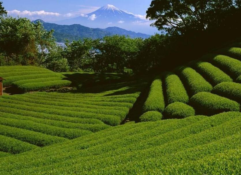 Cảnh ngoài trời Ảnh