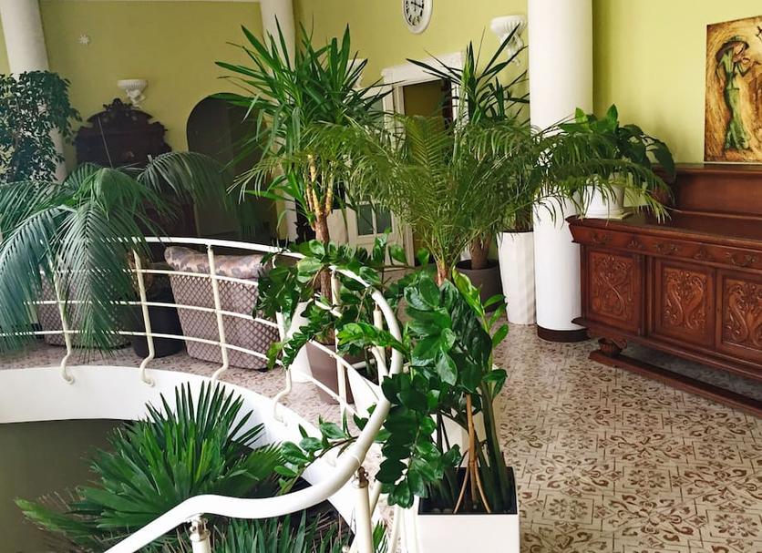 Cảnh ngoài trời Ảnh