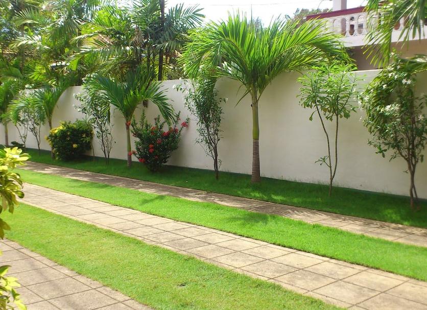 Cảnh ngoài trời Ảnh