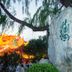 Cảnh ngoài trời