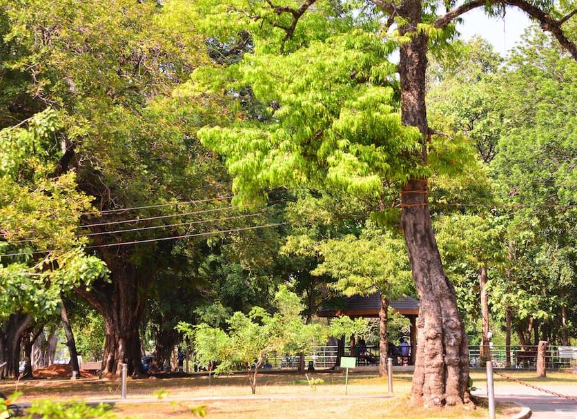 Cảnh ngoài trời Ảnh