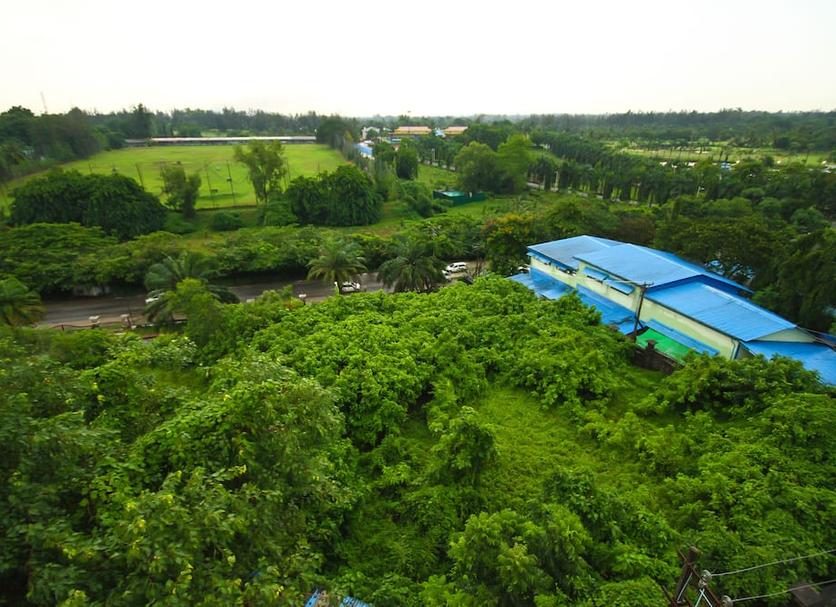 Cảnh ngoài trời Ảnh