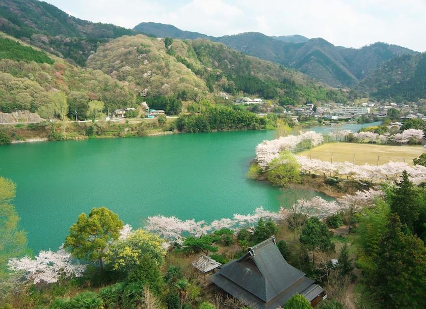 Cảnh ngoài trời Ảnh