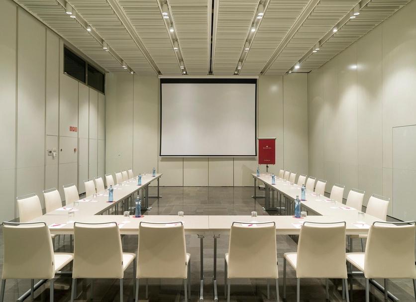 Conference room Ảnh