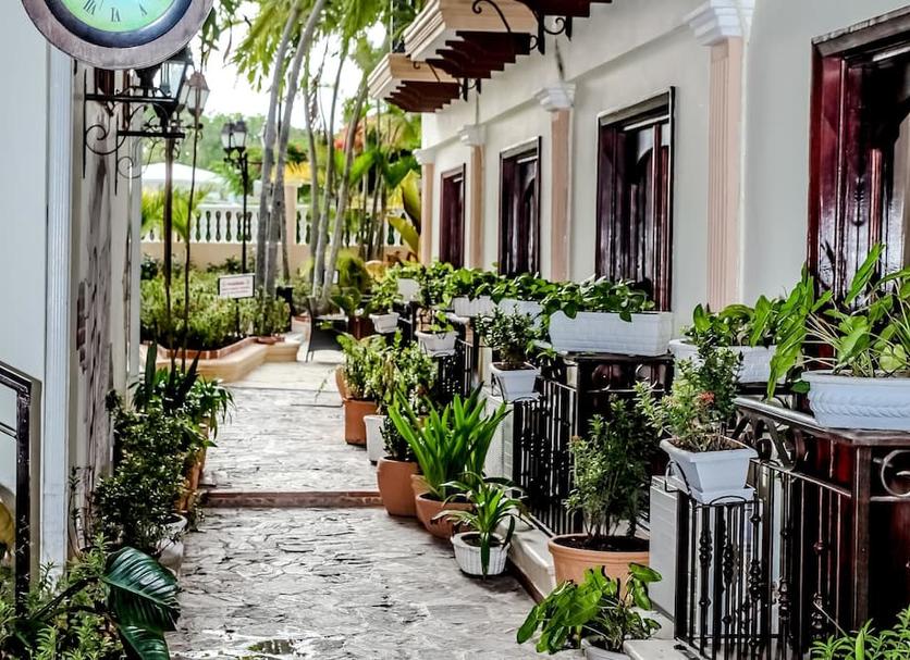 Cảnh ngoài trời Ảnh