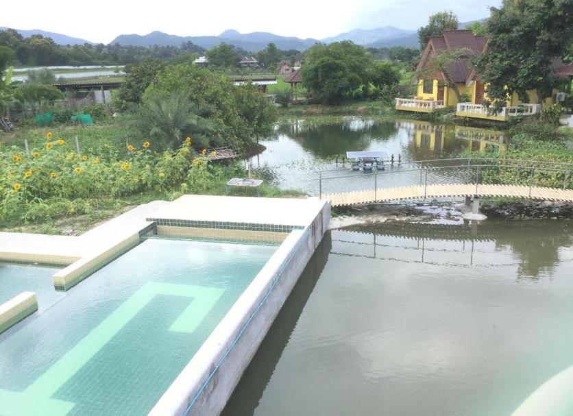 Bể bơi Ảnh