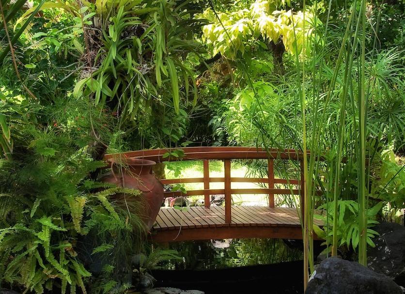 Cảnh ngoài trời Ảnh